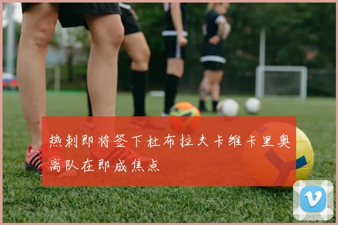 热刺即将签下杜布拉夫卡维卡里奥离队在即成焦点