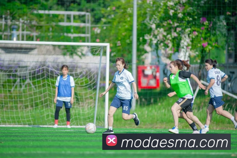 全球热力图